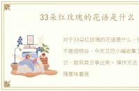 33朵红玫瑰的花语是什么
