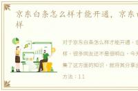 京东白条怎么样才能开通，京东白条怎么样