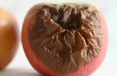 吃了过期食物身体会发生什么变化科学是这么说的