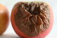 吃了过期食物身体会发生什么变化科学是这么说的