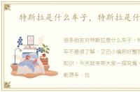 特斯拉是什么车子，特斯拉是什么车