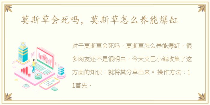 莫斯草会死吗，莫斯草怎么养能爆缸