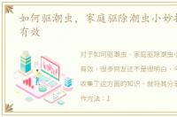 如何驱潮虫，家庭驱除潮虫小妙招，非常有效