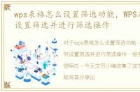 wps表格怎么设置筛选功能，WPS表格如何设置筛选并进行筛选操作