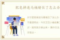 肥皂掉进马桶堵住了怎么办