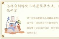 怎样自制孵化小鸡最简单方法，怎样自制鸽子笼