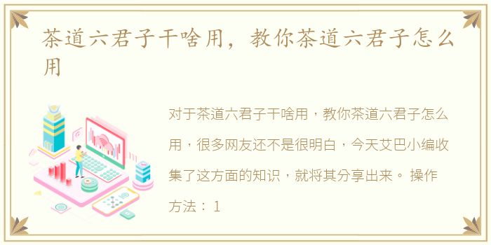 茶道六君子干啥用，教你茶道六君子怎么用