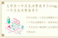 大学生一个月生活费要多少vlog，大学生一个月生活费要多少