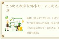 2.5次元投影仪哪家好，2.5次元影像仪品牌