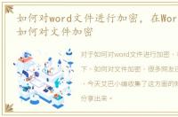如何对word文件进行加密，在Word文档下，如何对文件加密