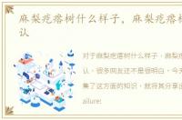 麻梨疙瘩树什么样子，麻梨疙瘩树怎么辨认