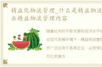 精益化物流管理_什么是精益物流管理?企业精益物流管理内容
