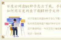 百度云网盘bt种子怎么下载，手把手教你如何用百度网盘下载BT种子文件