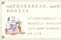 cad里图不能复制怎么办，cad图纸不能复制粘贴怎么办