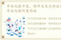 耳朵化脓中医，狗耳朵发炎的症状，狗狗耳朵化脓阿莫西林