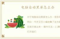电脑自动黑屏怎么办