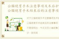 公猫绝育手术注意事项及术后护理指南，公猫绝育手术结束后的注意事项