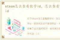 steam怎么查看数字id，怎么查看16位数字id