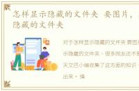 怎样显示隐藏的文件夹 要图片，怎样显示隐藏的文件夹