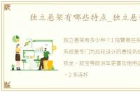 独立悬架有哪些特点_独立悬架