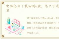 电脑怎么下载mv到u盘，怎么下载mv到u盘里