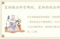 宠物猫品种有哪些，宠物狗的品种有哪些