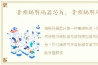 音频编解码器芯片，音频编解码器