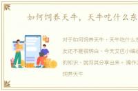 如何饲养天牛，天牛吃什么东西
