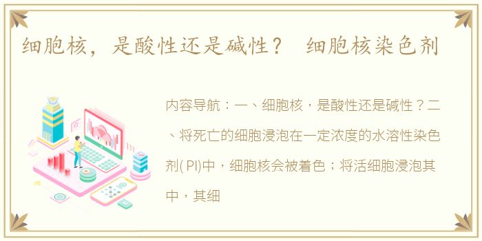 细胞核，是酸性还是碱性？ 细胞核染色剂