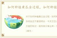 如何种植黄瓜全过程，如何种植黄瓜