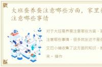 大班蚕养蚕注意哪些方面，家里养蚕应该注意哪些事情