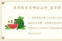 豪华轿车有哪些品牌_豪华轿车