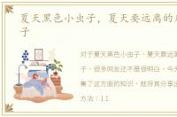 夏天黑色小虫子，夏天要远离的几种小虫子