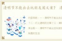 清明节不能出去玩朋友圈文案？ 清明文案