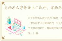 宠物怎么寄快递上门取件，宠物怎么快递