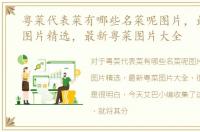 粤菜代表菜有哪些名菜呢图片，最新粤菜图片精选，最新粤菜图片大全