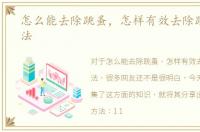 怎么能去除跳蚤，怎样有效去除跳蚤的方法