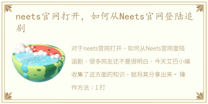 neets官网打开，如何从Neets官网登陆追剧