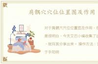 肩髃穴穴位位置图及作用