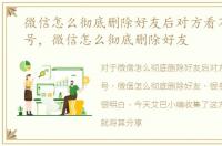 微信怎么彻底删除好友后对方看不见我账号，微信怎么彻底删除好友