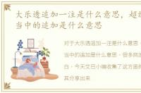 大乐透追加一注是什么意思，超级大乐透当中的追加是什么意思