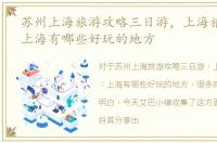 苏州上海旅游攻略三日游，上海旅游攻略：上海有哪些好玩的地方