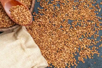 发现小小米的健康益处及其各种用途