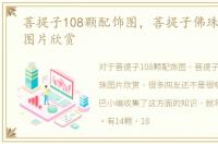 菩提子108颗配饰图，菩提子佛珠108念珠图片欣赏