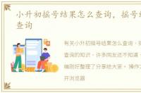 小升初摇号结果怎么查询，摇号结果怎么查询