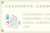 淡水金鱼的饲养方法，金鱼的饲养方法