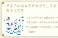 苹果手机怎么查看运营商，苹果手机如何查看运营商