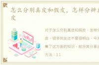 怎么分别真皮和假皮，怎样分辨真皮和假皮