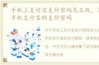 手机上支付宝支付密码怎么改，怎样修改手机支付宝的支付密码