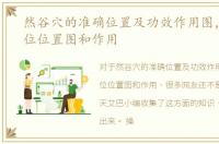 然谷穴的准确位置及功效作用图，然谷穴位位置图和作用